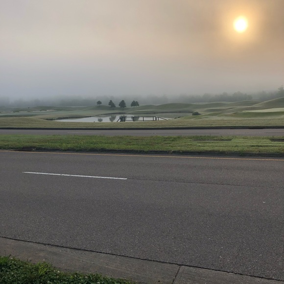 Meet your Posher, Courtney - Picture 1 of 1